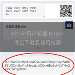 Bitpie用户教程 Bitpie钱包下载及使用指南