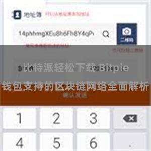 比特派轻松下载 Bitpie钱包支持的区块链网络全面解析