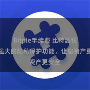 Bitpie手续费 比特派钱包：强大的隐私保护功能，让您资产更安全