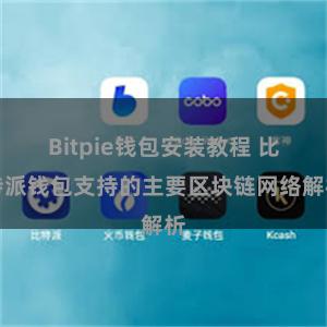 Bitpie钱包安装教程 比特派钱包支持的主要区块链网络解析