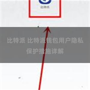 比特派 比特派钱包用户隐私保护措施详解