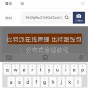 比特派在线管理 比特派钱包：分布式治理教程