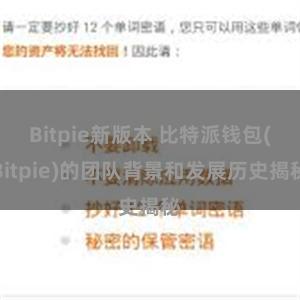 Bitpie新版本 比特派钱包(Bitpie)的团队背景和发展历史揭秘
