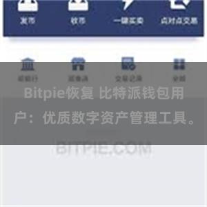 Bitpie恢复 比特派钱包用户：优质数字资产管理工具。