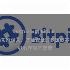 Bitpie恢复 Bitpie轻量钱包功能强大，方便安全的多链数字资产管理