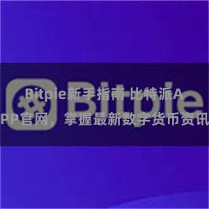 Bitpie新手指南 比特派APP官网，掌握最新数字货币资讯
