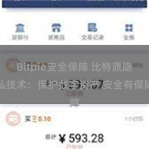 Bitpie安全保障 比特派隐私技术：保护数字资产 安全有保障