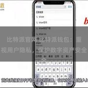 比特派官网 比特派钱包：重视用户隐私，保护数字资产安全