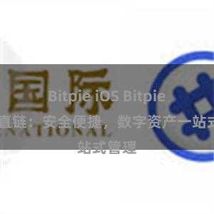 Bitpie iOS Bitpie APP直链：安全便捷，数字资产一站式管理